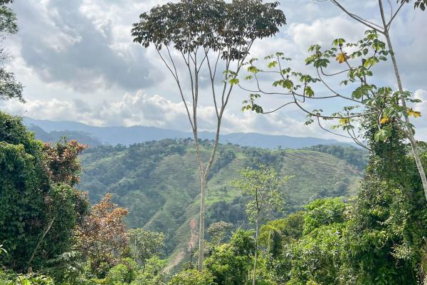 Green hills and valleys seen from a countryside trail near Jaco
