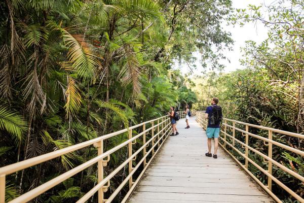 path boardwalk at manuel antonio national park costa rica