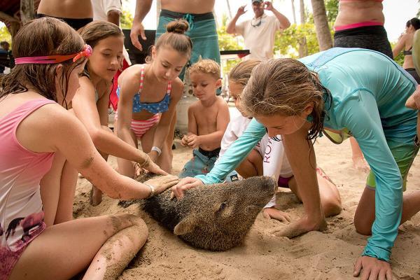 kids playing with piglet at tortuga island costa rica