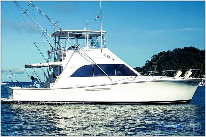 private boat charter to tortuga island costa rica