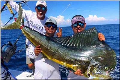 Huge Mahi Mahi caught onboard fishing charter near Jaco Costa Rica