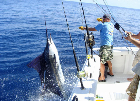 Jaco VIP • Fishing Facts for Jaco Beach & Los Sueños Marina, Costa Rica