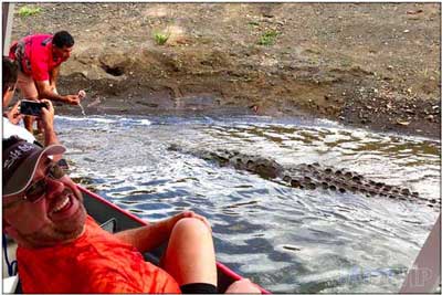 Crocodile River Tour in Tarcoles River Costa Rica