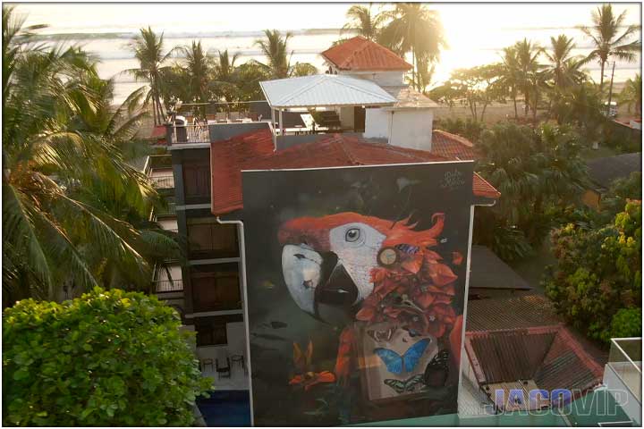 Macaw mural in Jaco Costa Rica