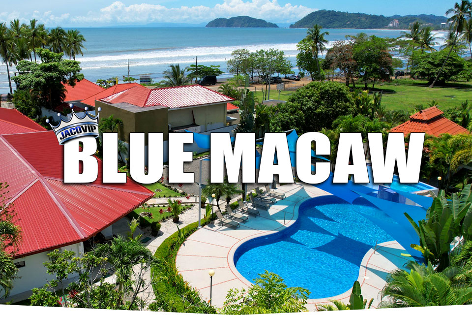 Blue Macaw Villas Jaco VIP Beachfront Vacation Rental