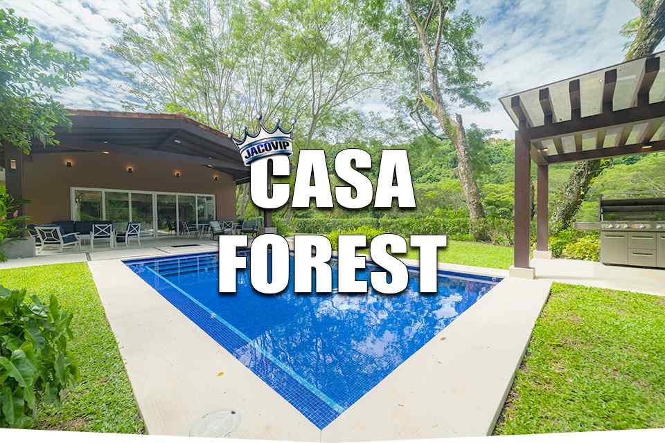 Casa Forest