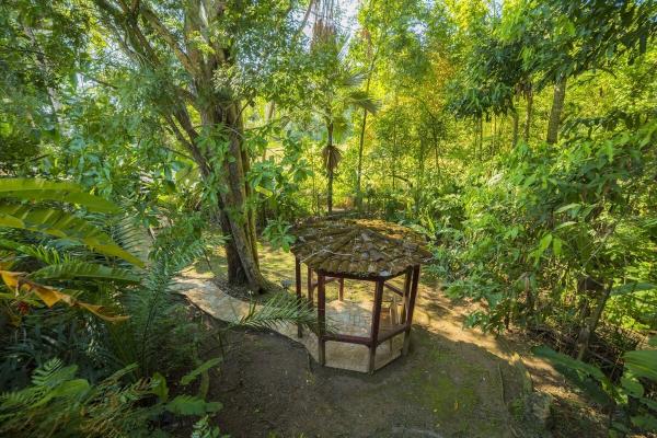 View of a small small outdoor shed at Harmon House