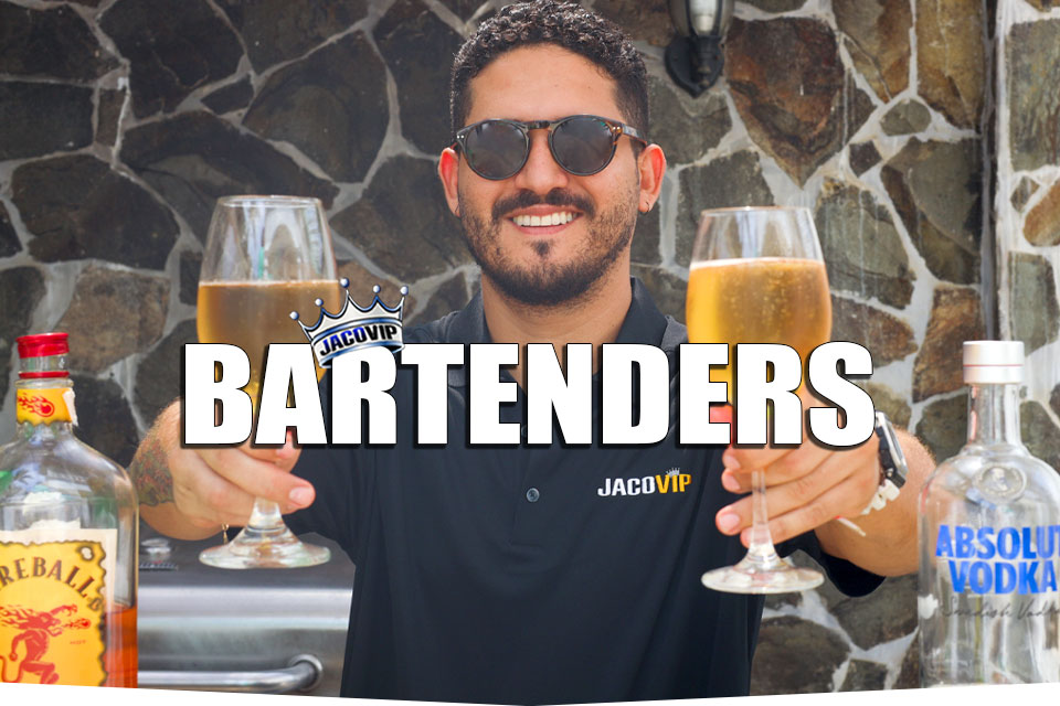 Private Bartender Service