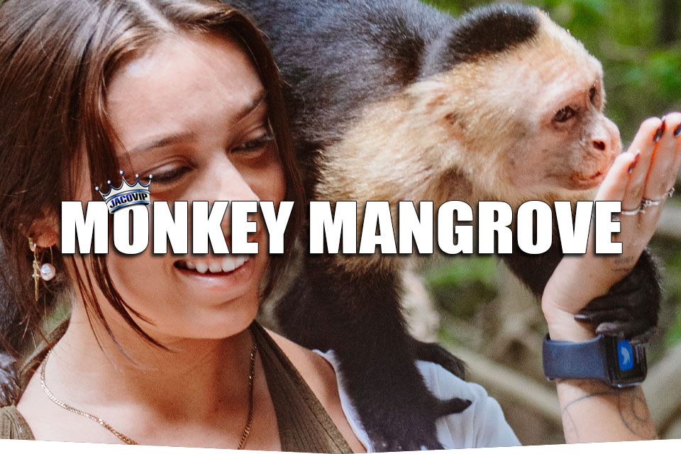 Monkey Mangrove Tour