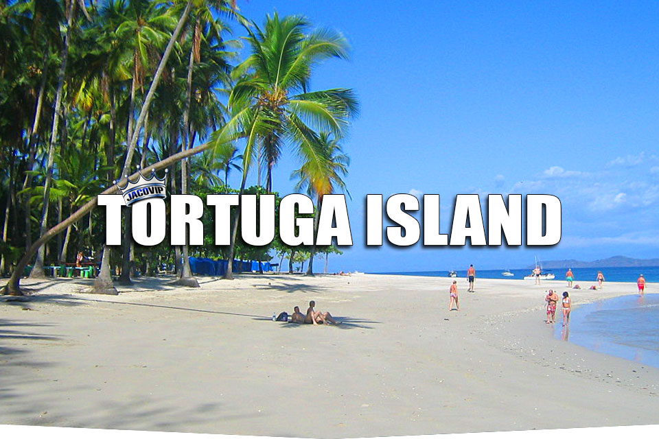 Tortuga Island Day Trip
