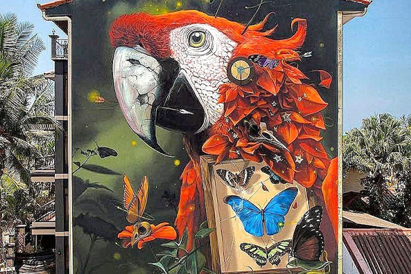 Scarlet macaw mural art in Jaco Beach Costa Rica