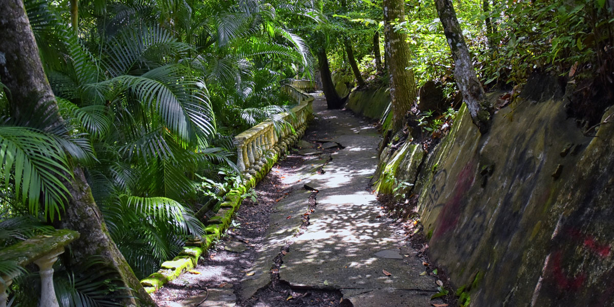 Jungle trail on Miro Mountain in Jaco Costa Rica with lush green canopy overhead