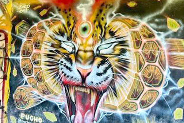Tiger mural art in Jaco Beach Costa Rica