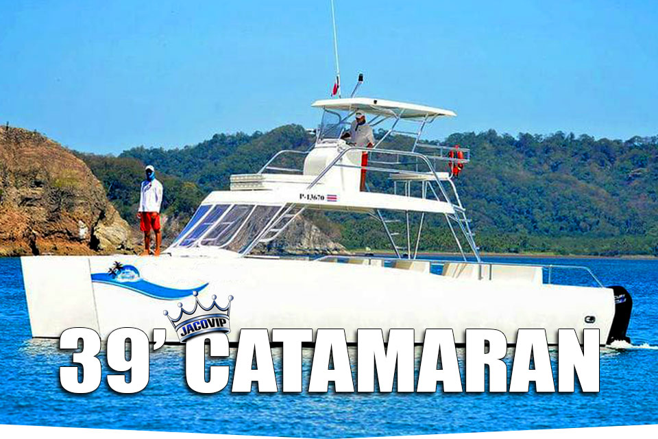 39 Catamaran