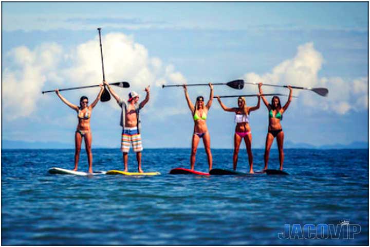 People on Stand Up Paddleboards with paddles in the air