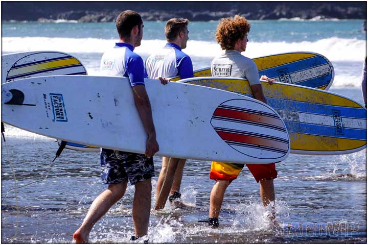 Three guys with surfboards walking into ocean for lessons