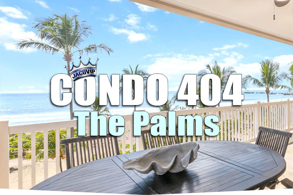 The Palms 404 The Palms 404