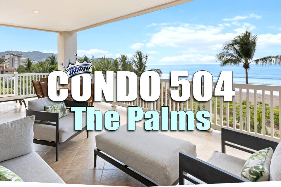The Palms 504