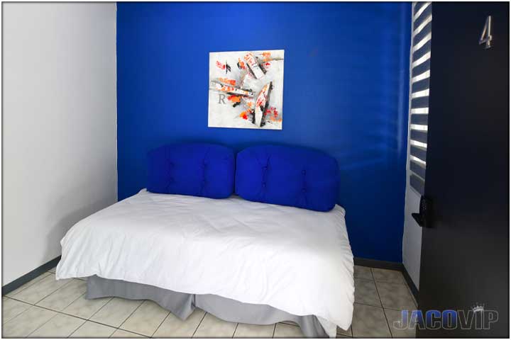 Blue accent wall behind single day bed