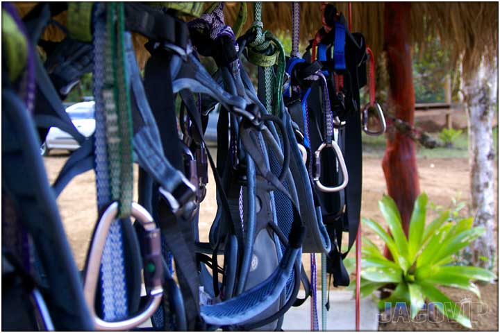long run of zipline harnesses hanging